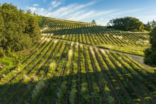 Residential Lot,  Calistoga road, Santa Rosa, CA 95404 - 10