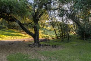 Residential Lot,  Calistoga road, Santa Rosa, CA 95404 - 17