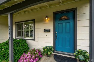 Single Family Residence,  Oak Lake avenue, Santa Rosa, CA 95409 - 58