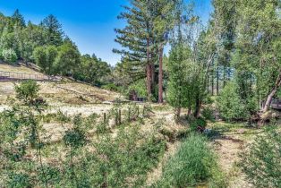 Residential Acreage,  Riebli road, Santa Rosa, CA 95404 - 27