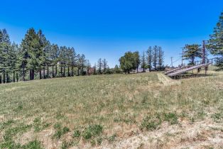 Residential Acreage,  Riebli road, Santa Rosa, CA 95404 - 44