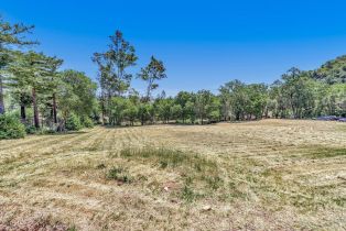 Residential Acreage,  Riebli road, Santa Rosa, CA 95404 - 45
