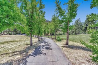 Residential Acreage,  Riebli road, Santa Rosa, CA 95404 - 43