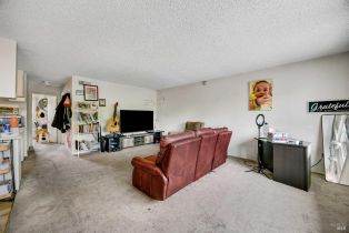 Residential Income, Heidi place, Santa Rosa, CA 95403 - 22