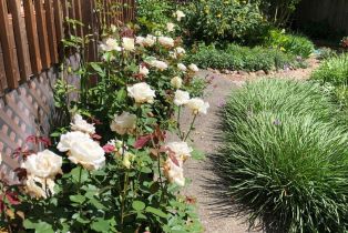 Single Family Residence, Caber drive, Santa Rosa, CA 95409 - 57