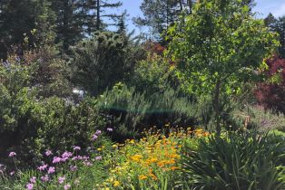 Single Family Residence, Caber drive, Santa Rosa, CA 95409 - 56