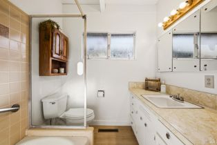 Single Family Residence,  Sunnyslope avenue, Petaluma, CA 94952 - 22
