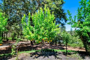 Single Family Residence, West lane, Angwin, CA 94508 - 48