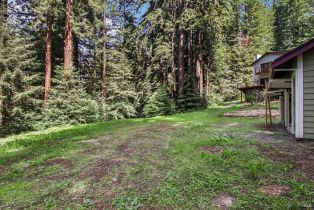 Single Family Residence,  Fiori lane, Sebastopol, CA 95472 - 48