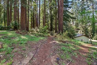 Single Family Residence,  Fiori lane, Sebastopol, CA 95472 - 52