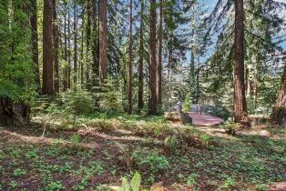 Single Family Residence,  Fiori lane, Sebastopol, CA 95472 - 51