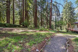 Single Family Residence,  Fiori lane, Sebastopol, CA 95472 - 41