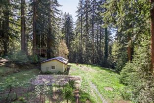 Single Family Residence,  Fiori lane, Sebastopol, CA 95472 - 46