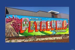 Single Family Residence,  Falcon Ridge drive, Petaluma, CA 94954 - 49