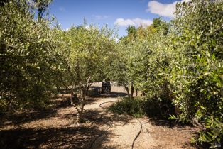 Single Family Residence,  Egg Farm lane, Kenwood, CA 95452 - 30
