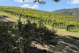 Single Family Residence, Summit drive, Calistoga, CA 94515 - 61