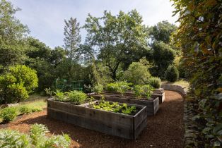 Single Family Residence,  Summit drive, Calistoga, CA 94515 - 44