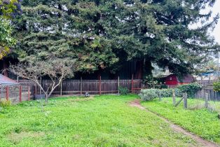Single Family Residence, Pierson street, Santa Rosa, CA 95401 - 29