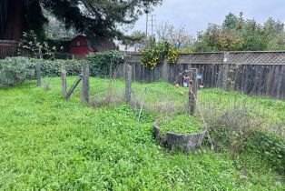 Single Family Residence, Pierson street, Santa Rosa, CA 95401 - 28