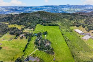Single Family Residence,  Wild Horse Valley road, Napa, CA 94558 - 2