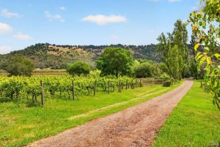 Single Family Residence,  Wild Horse Valley road, Napa, CA 94558 - 8