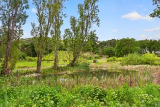 Single Family Residence,  Wild Horse Valley road, Napa, CA 94558 - 9