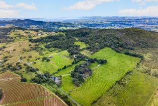 Single Family Residence,  Wild Horse Valley road, Napa, CA 94558 - 3