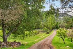 Single Family Residence,  Wild Horse Valley road, Napa, CA 94558 - 7