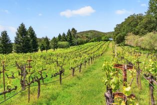Single Family Residence,  Wild Horse Valley road, Napa, CA 94558 - 29
