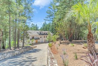 Single Family Residence, Cold Springs road, Angwin, CA 94508 - 6