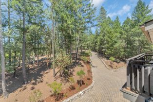 Single Family Residence, Cold Springs road, Angwin, CA 94508 - 39