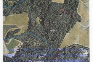 Single Family Residence, Cold Springs road, Angwin, CA 94508 - 47