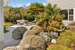 Single Family Residence,  Pearce drive, Sonoma, CA 95476 - 72