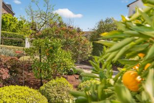 Single Family Residence,  Pearce drive, Sonoma, CA 95476 - 85