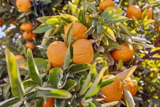 Single Family Residence,  Pearce drive, Sonoma, CA 95476 - 84