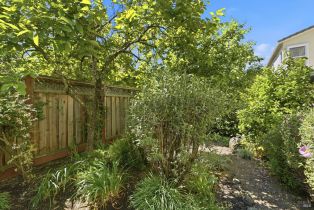 Single Family Residence,  Pinot Noir way, Windsor, CA 95492 - 36