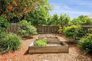 Single Family Residence,  Linden street, Sonoma, CA 95476 - 59