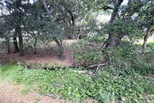 Single Family Residence, Golf View terrace, Santa Rosa, CA 95405 - 57