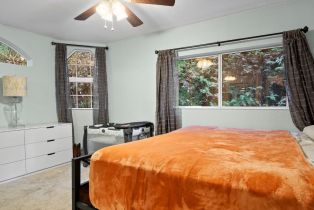 Single Family Residence,  Hwy 116 none, Russian River, CA 95436 - 11