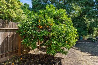 Single Family Residence,  Pueblo avenue, Napa, CA 94558 - 47