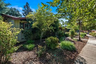 Single Family Residence,  Pueblo avenue, Napa, CA 94558 - 7