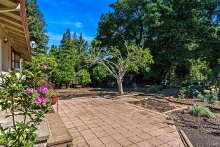 Single Family Residence,  Pueblo avenue, Napa, CA 94558 - 45