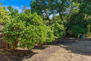 Single Family Residence,  Pueblo avenue, Napa, CA 94558 - 48