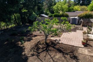 Single Family Residence,  Pueblo avenue, Napa, CA 94558 - 53