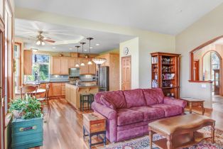 Single Family Residence,  Hwy 116 none, Russian River, CA 95436 - 37