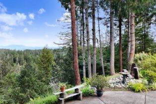 Single Family Residence,  Hwy 116 none, Russian River, CA 95436 - 4