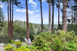 Single Family Residence,  Hwy 116 none, Russian River, CA 95436 - 42
