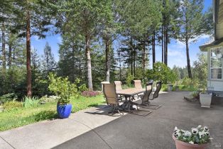 Single Family Residence,  Hwy 116 none, Russian River, CA 95436 - 41