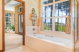Single Family Residence,  Hwy 116 none, Russian River, CA 95436 - 21