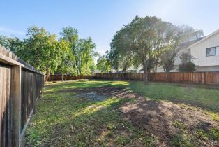 Single Family Residence,  Napa street, Sonoma, CA 95476 - 49